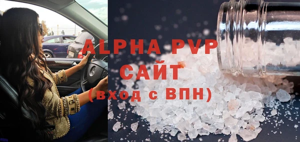 шишки Новодвинск