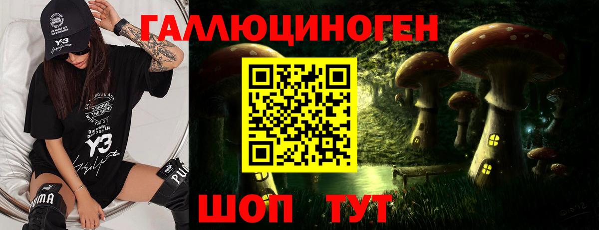 Псилоцибиновые грибы ЛСД  Дзержинск 