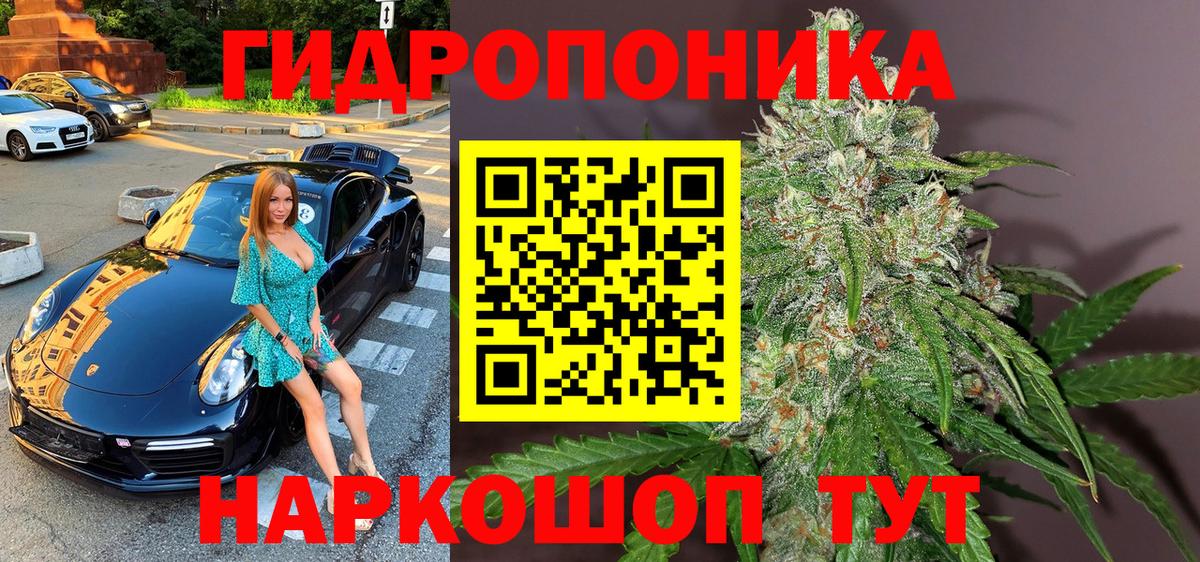 Марихуана сатива  Бошки марихуана индика  МАРИХУАНА ГИДРОПОН  Дзержинск 